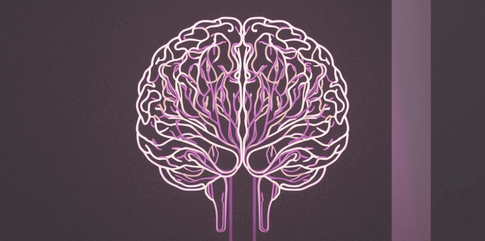Is Your Brain Wired for Stress? Why You Feel “On” All the Time | Curvers